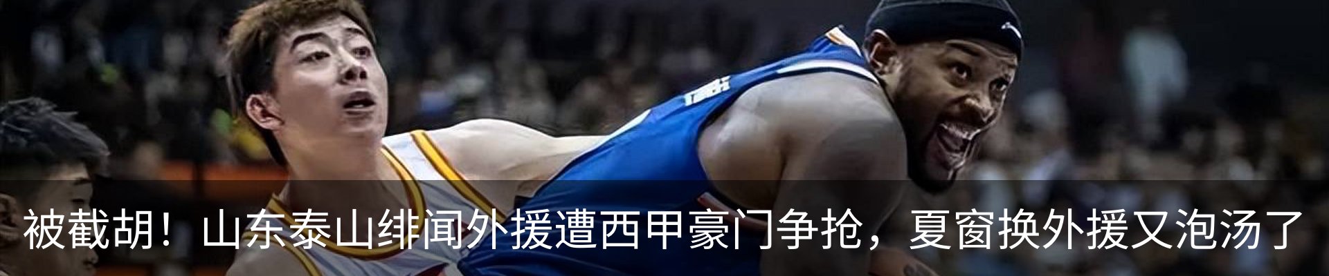 新闻动态
